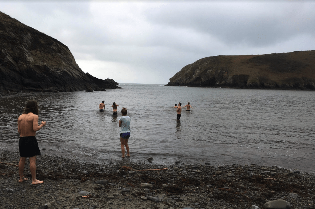 Screen Shot 2019 06 26 at 15.37.22 1024x682 - The Benefits of Cold Water: Wild Swimming in Cornwall - Why Bother with the Wetsuit?